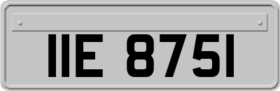 IIE8751