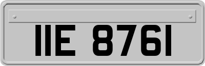 IIE8761