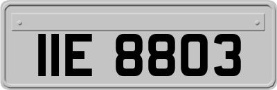 IIE8803