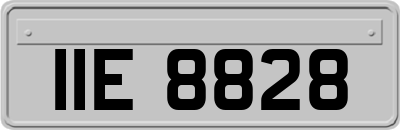 IIE8828