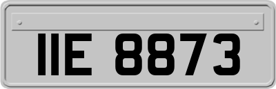 IIE8873