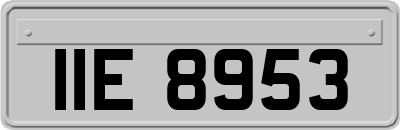 IIE8953