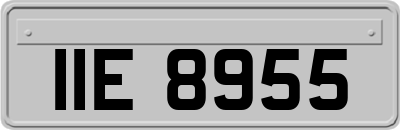 IIE8955