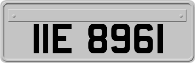 IIE8961