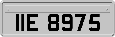 IIE8975