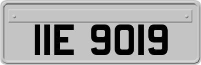 IIE9019