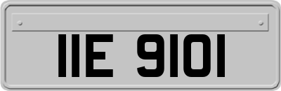 IIE9101