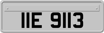 IIE9113