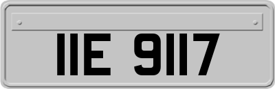 IIE9117