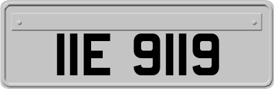 IIE9119