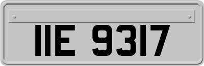 IIE9317