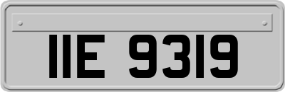 IIE9319