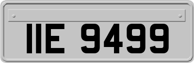 IIE9499
