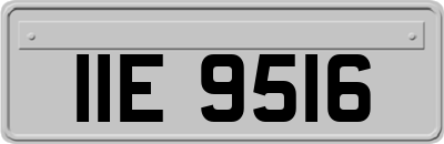 IIE9516