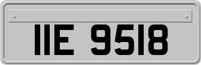 IIE9518