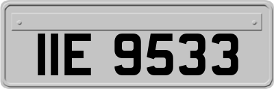IIE9533