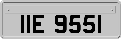 IIE9551