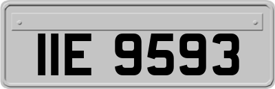 IIE9593