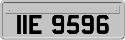 IIE9596