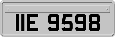 IIE9598