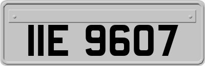 IIE9607