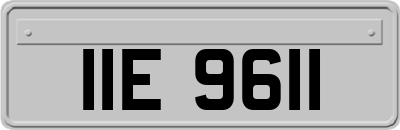 IIE9611