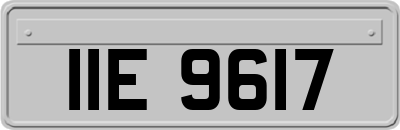 IIE9617