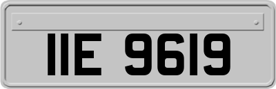 IIE9619