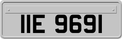 IIE9691