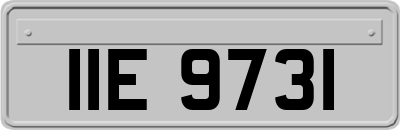 IIE9731