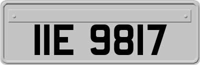 IIE9817