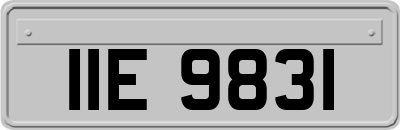 IIE9831