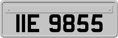 IIE9855