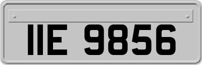 IIE9856