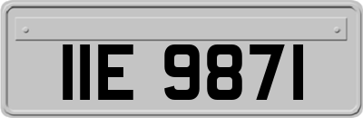 IIE9871