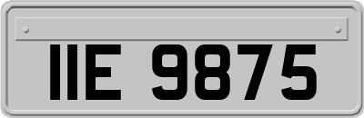 IIE9875