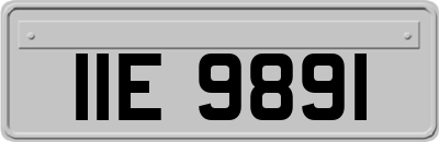 IIE9891