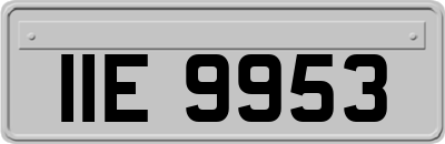 IIE9953