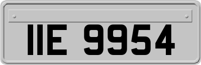 IIE9954