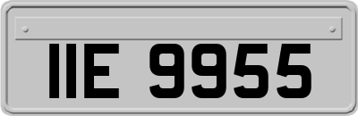 IIE9955