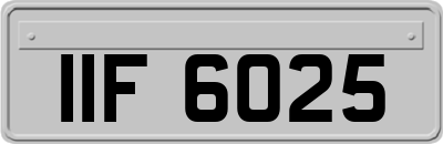 IIF6025
