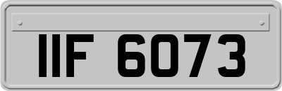 IIF6073