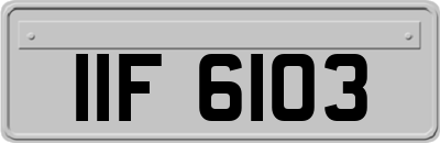 IIF6103