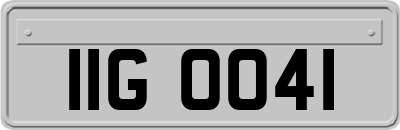 IIG0041