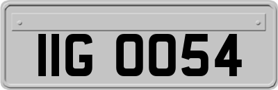 IIG0054