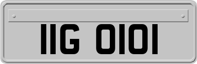 IIG0101