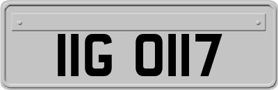 IIG0117