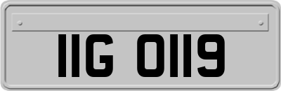 IIG0119