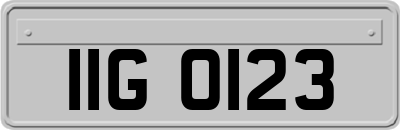 IIG0123