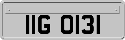 IIG0131